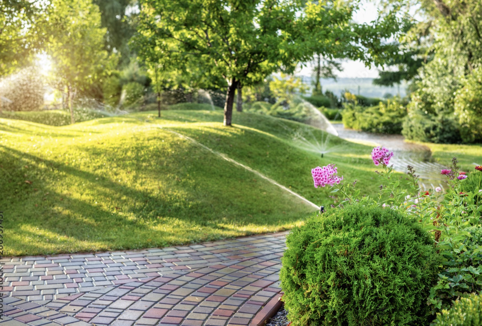 Ako správne polievať trávnik?