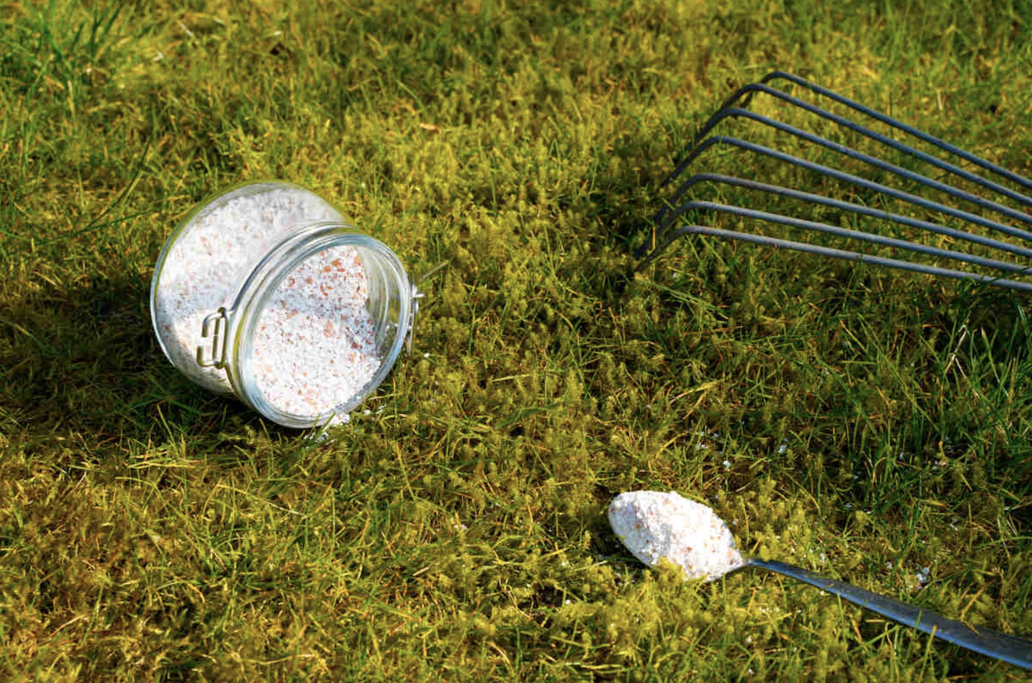 mensia-sklenena-nadobka-s-vapnom-vedla-lyzicka-na-ktorej-je-vapno-oba-predmety-su-polozene-natravniku-ktorym-prerasta-mach