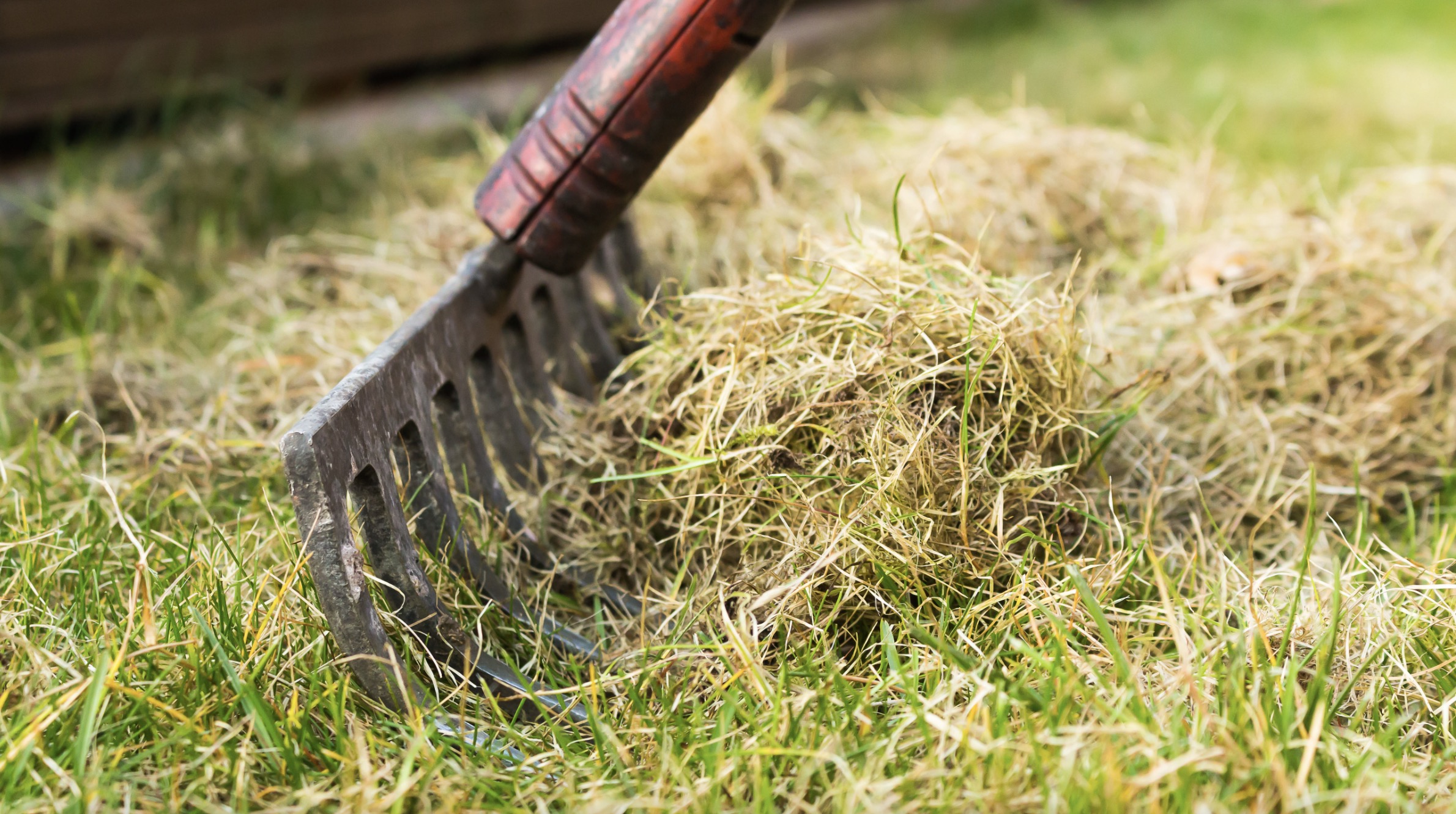 ukazka-hrabania-starych-casti-travnika-ako-prevzdusnenie-ktore-dovoli-korenom-zdravych-travovych-stebiel-dychat-a-zdravo-rast