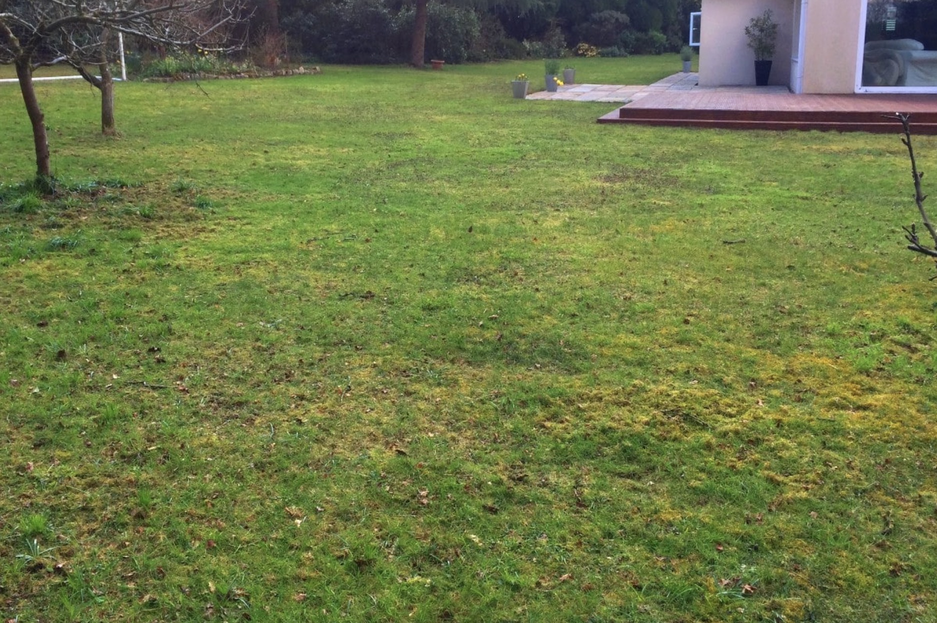 pohlad-na-travnik-pred-rodinnym-domom-v-ktorom-sa-nachadza-vela-machu