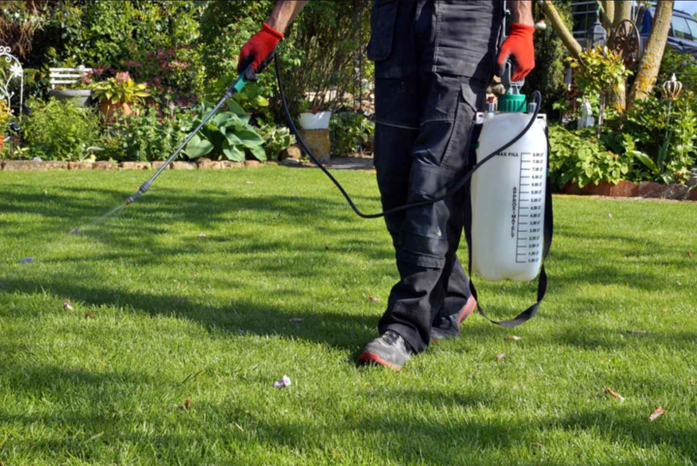 aplikacia-postreku-askon-na-travnik-postrekovacom