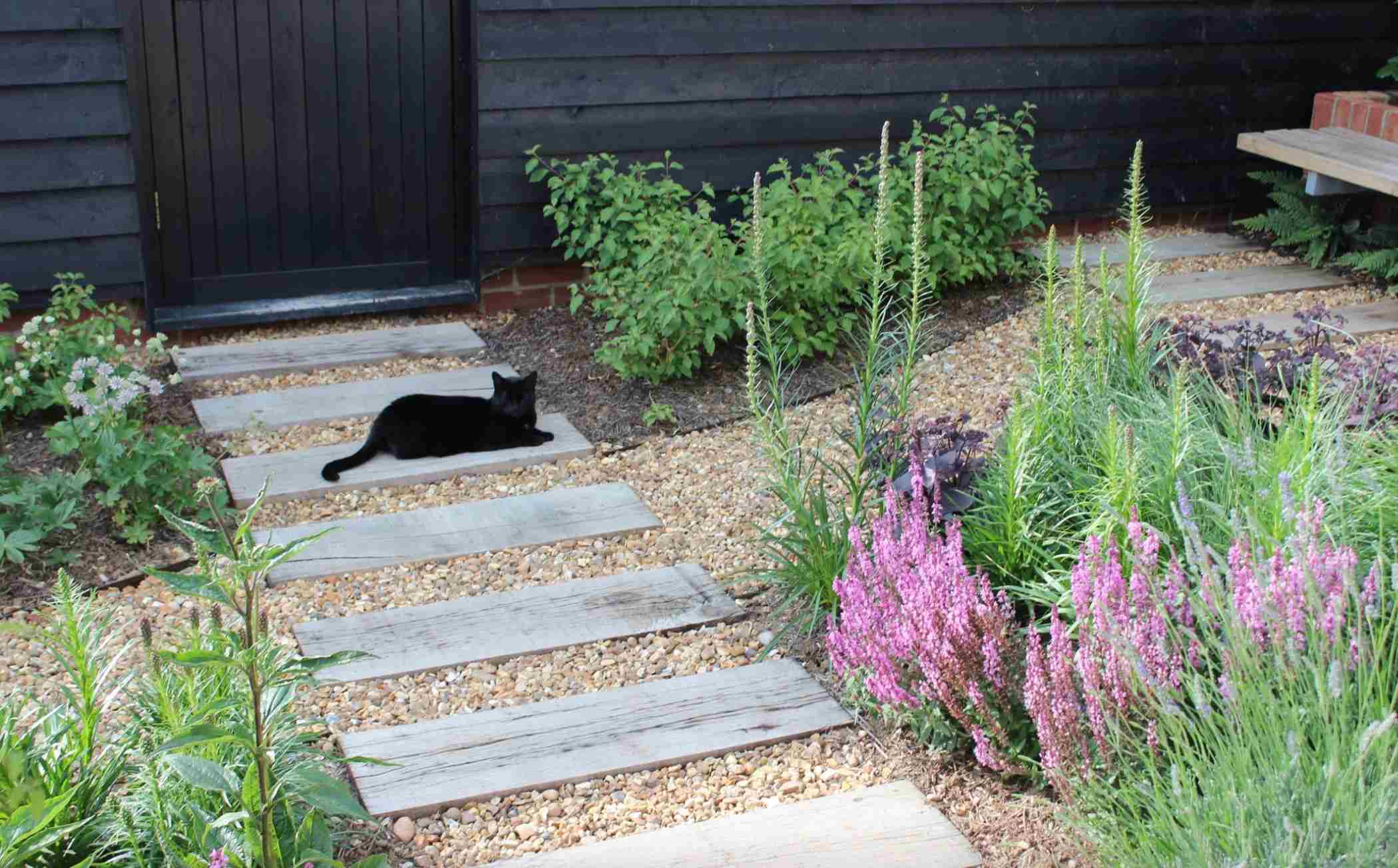 zahradny-chodnik-z-drevenych-podvalov-ulozenych-do-strku-medzi-kvitnucimi-zahonmi-s-ciernou-mackou-leziacou-na-jednej-doske