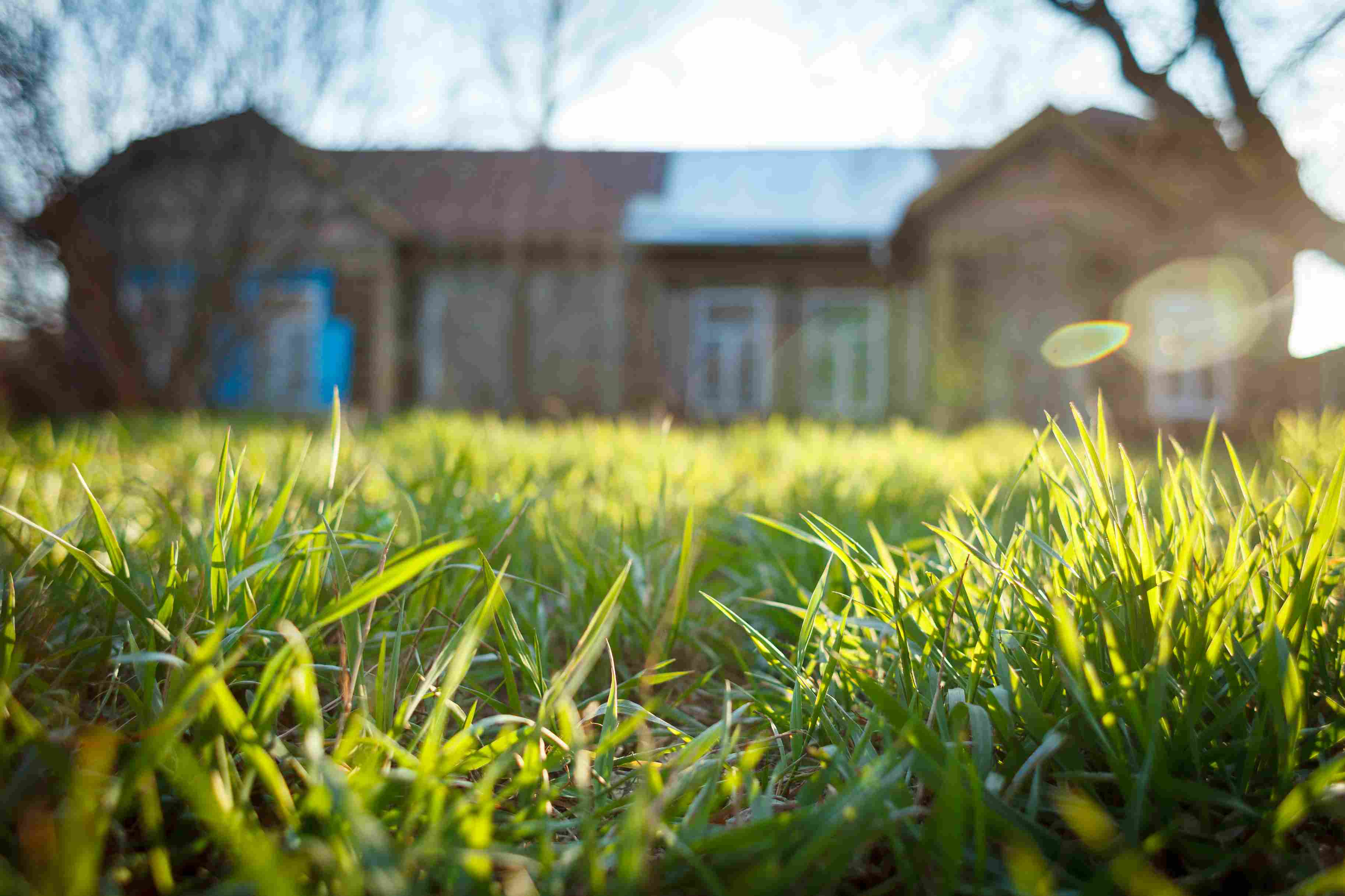detailny-pohlad-na-travnik-v-popredi-v-pozadi-starsi-dom-ukazuje-spravnu-starostlivost-o-travnik