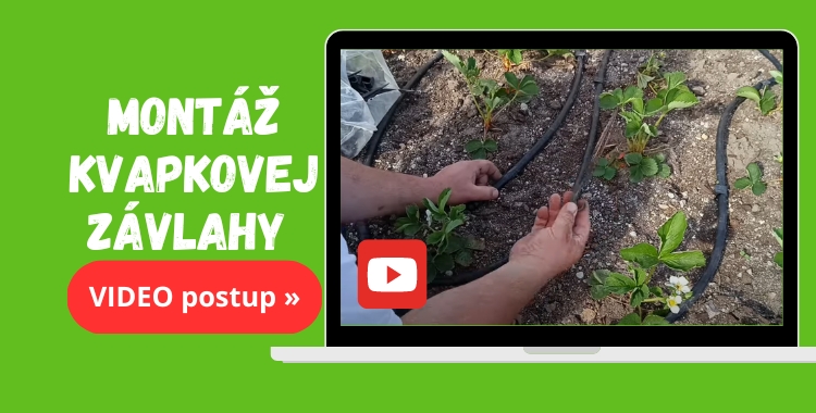 Montáž kvapkovej závlahy - video postup