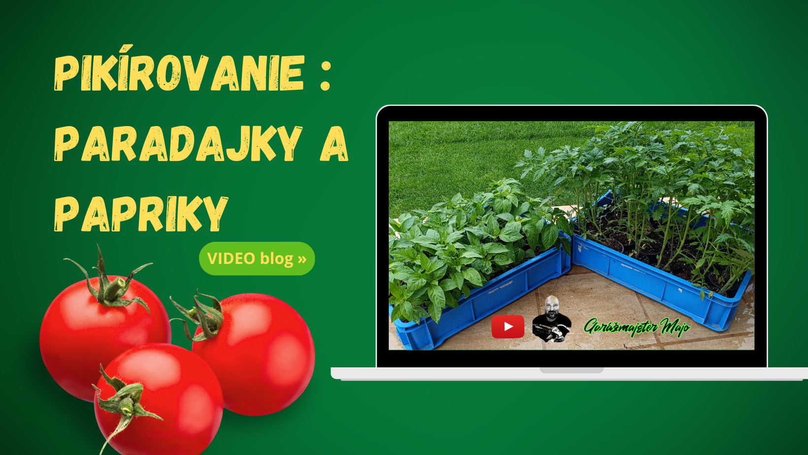 Pikírovanie: paradajky a papriky