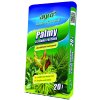 AGRO palmy