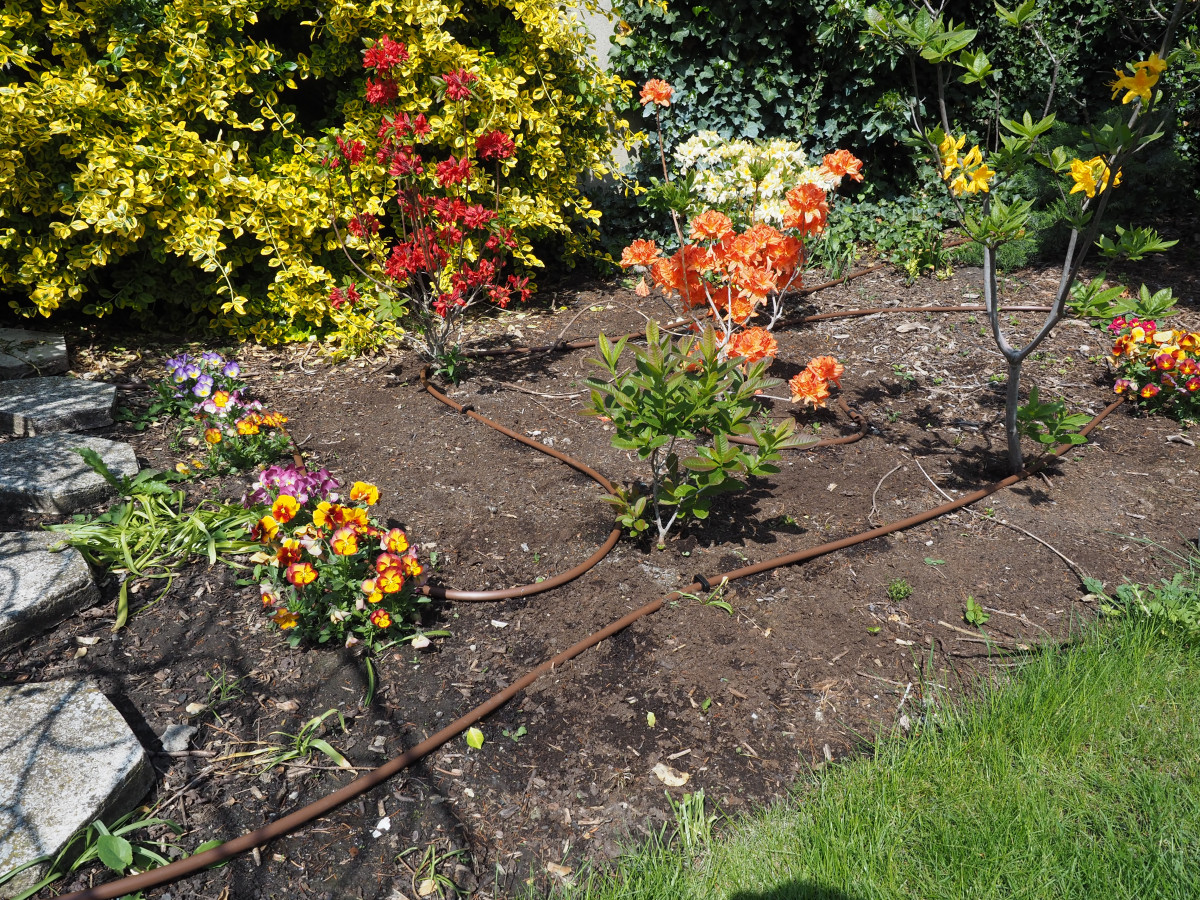 Výhody kapkové závlahy