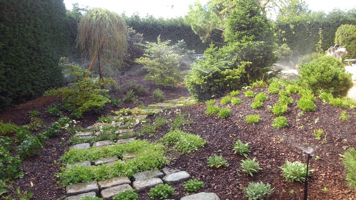 Zahrady, parky a sportovní plochy