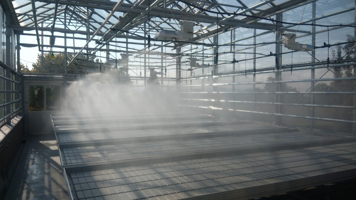 Foliovníky a skleníky