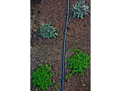 1432 kapkova zavlaha do skleniku 2 5 x 6 m s004