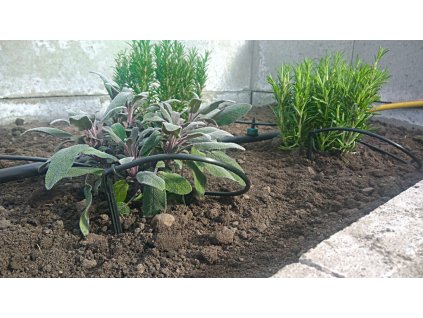 859 kapkova zavlaha do skleniku 2 5x3m s001