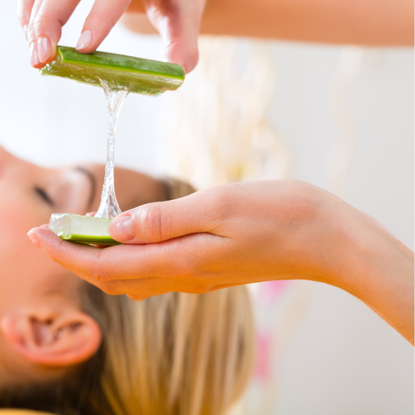 Aloe vera: Zázrak prírody, ktorý by ste mali poznať
