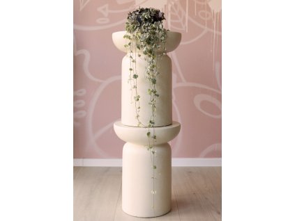 Ceropegia Woodii variegata