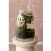 Rastlinné terárium XL
