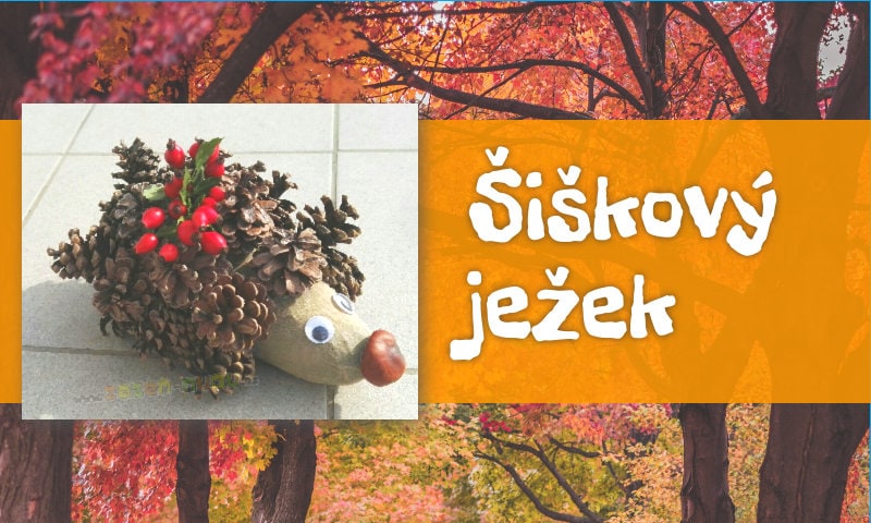 Šiškový ježek