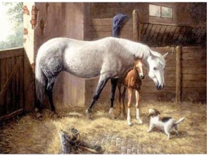 Malování podle čísel 40x30 - Ve stáji