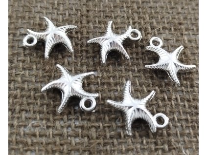 Přívěsek - CCB - mořská hvězdice