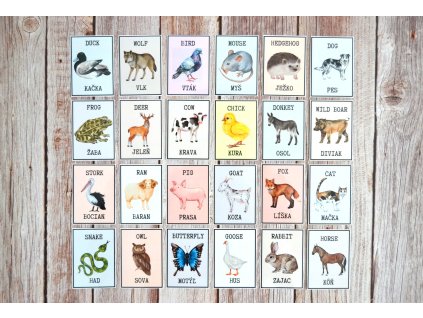 Kartičky ZVIERATÁ (Sjl-Aj)