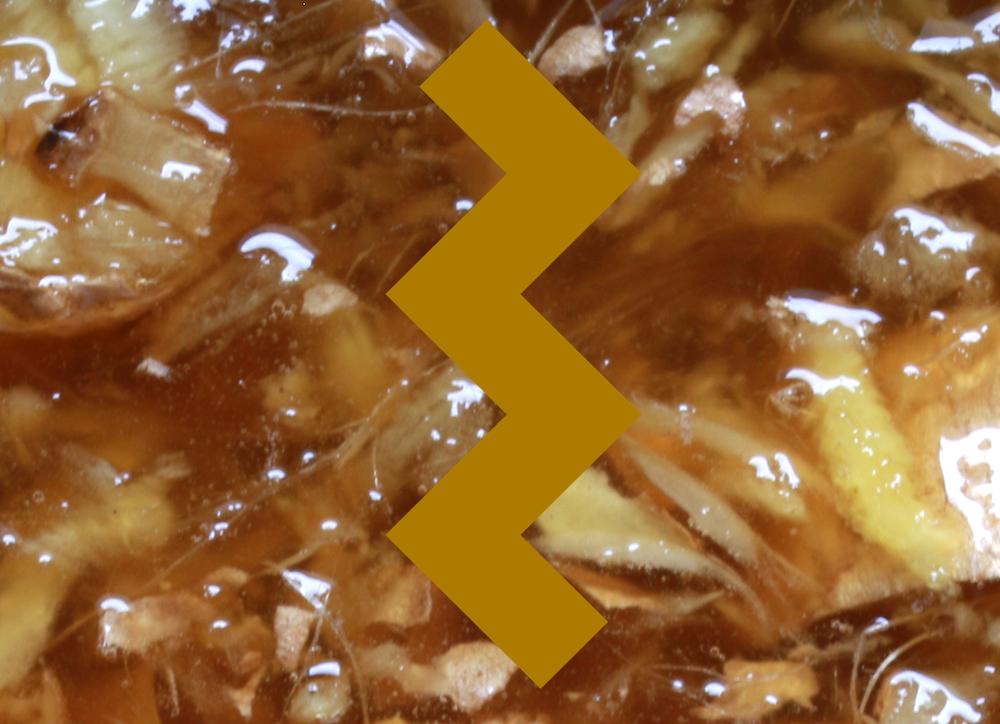 Zázvorový med, přiznání - je fakt tekutý