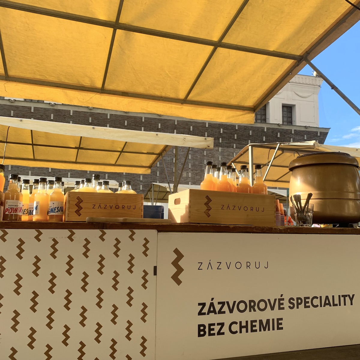 Nová sekce na webu (listopad 24)