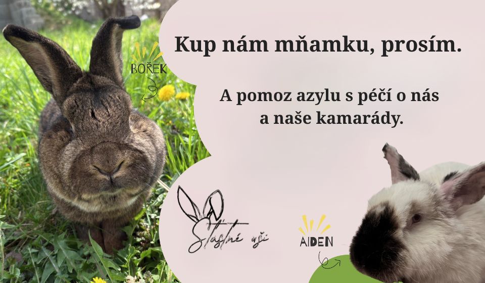 Pomáháme spolku Štastné uši