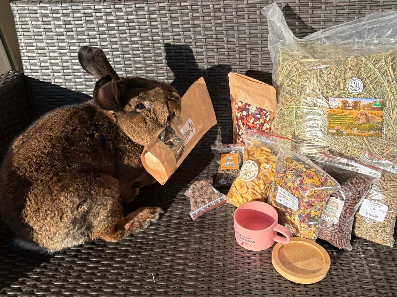 Spolupráce ZB MILVI se spolkem Šťastné uši