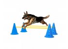 Vybavení na agility