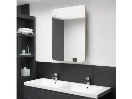 LED koupelnová skříňka se zrcadlem dub 60 x 11 x 80 cm