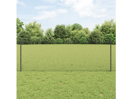 Plot a sloupek Šedá 0,8 x 25 m Ocel