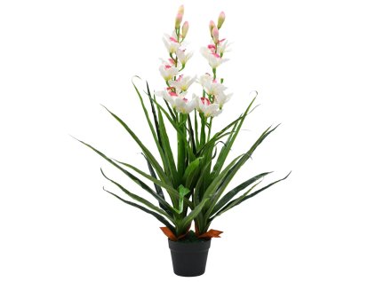 8718475599777 a en hd 1