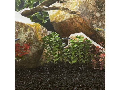 8721012106307 m en hd 1