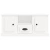 TV skříňka bílá 100 x 35,5 x 45 cm kompozitní dřevo