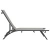 Zahradní lehátka 2 ks textilen a ocel