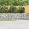Klenutý gabion vyvýšený záhon 800x50x100 cm pozinkované železo