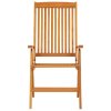 Skládací zahradní židle 2 ks masivní eukalyptové dřevo