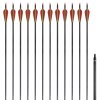 Standardní šípy k recurve luku 30" 0,76 cm karbon 12 ks