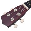 Set sopránové ukulele s obalem pro děti světlé dřevo 21"