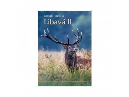 22584 libava ii