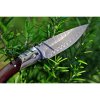 Zavírací damaškový nůž Dellinger Mushroom Killer VG-10 Damascus, s koženým pouzdrem f