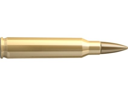 Náboj SB 223 REM FMJ 55