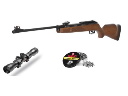 gamo hunter 1