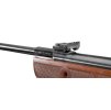 gamo hunter II 1