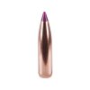 strela 6mm Nosler