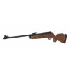 gamo hunter 2