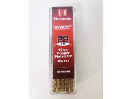 Hornady 22 100