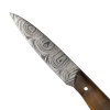 Malý pevný damaškový nůž "OLIVE DAMASCUS"