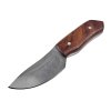 Malý pevný nůž "PUMA'S TOOTH" s koženým pouzdrem