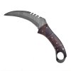 Damaškový karambit "CLAW OF ANCIENT STEEL" s koženým pouzdrem