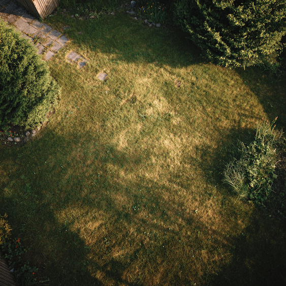 Špatné založení trávníku jako skrytá příčina selhání