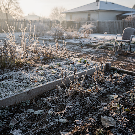 Je už čas myslet na výsev zeleniny? Ano – ale jinak, než si většina lidí myslí